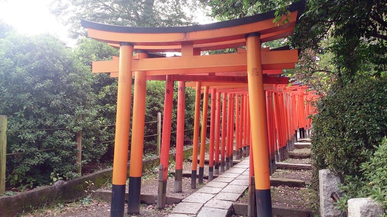 Namio 201 * Tokio
